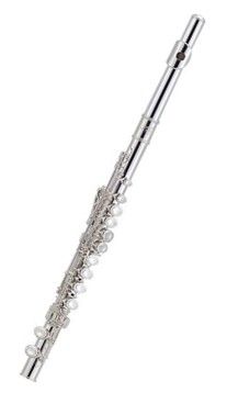 Stentor J. Michael Flute Outfit