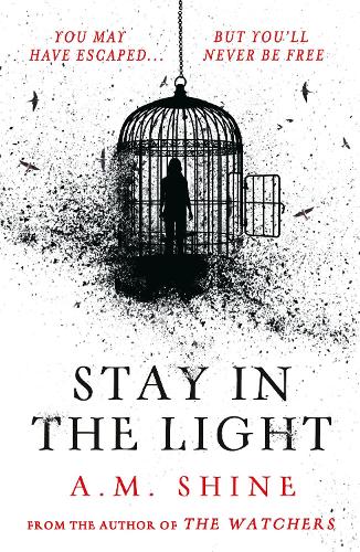 Stay in the Light: the chilling sequel to hit horror novel THE WATCHERS