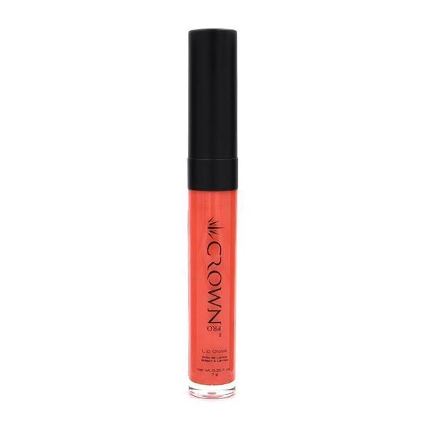 PRO LIP GLOSS FLAMINGO
